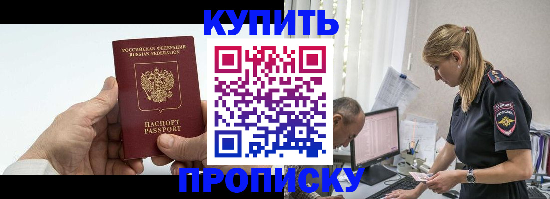 прописка поиск в Купино