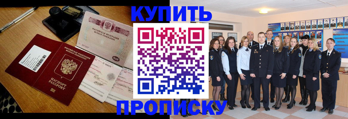 прописка 2025 в Купино