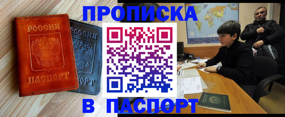 прописка для школы в Купино